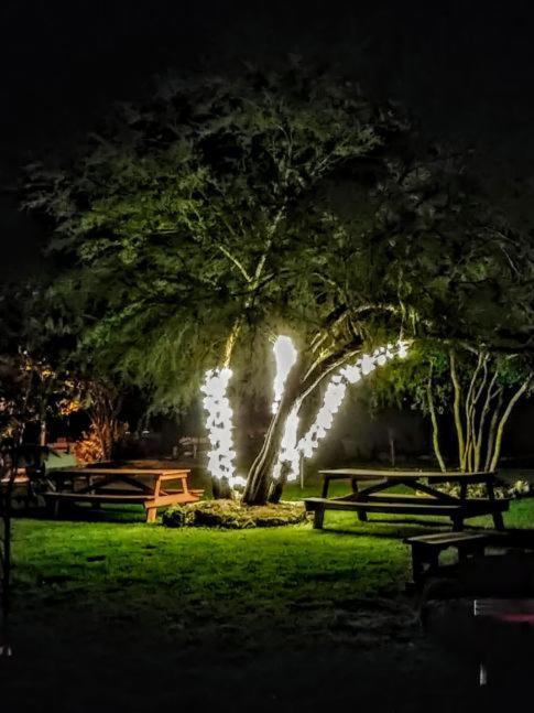 Top Of The Hill Rv Resort & Cabins Waring Ngoại thất bức ảnh